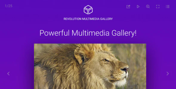 Revolution Multimedia Gallery