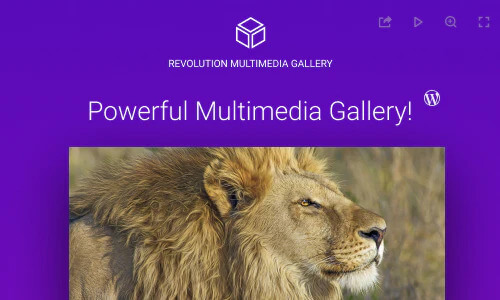 Revolution Multimedia Gallery Wordpress Plugin