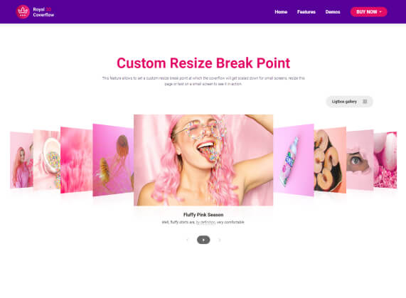 Custom Resize Break Point