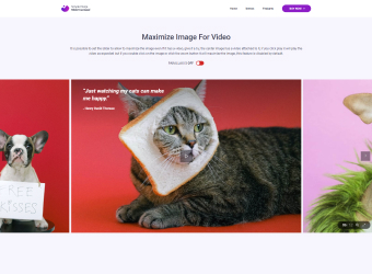 Maximize Image For Video